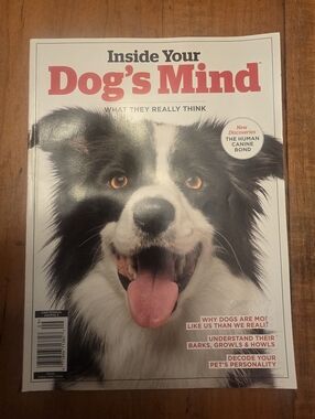 Inside Your Dog's Mind Centennial Animals Magazine What They Really Think